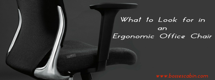 What to Look for in an Ergonomic Office Chair Boss s Cabin